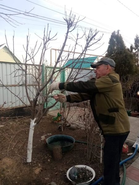 Садоводам и огородникам пора сделать важное дело на своих участках