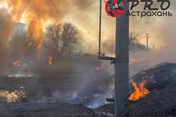 В Астраханской области объявили пожароопасный сезон: штрафы до 400 тысяч - PRO Астрахань