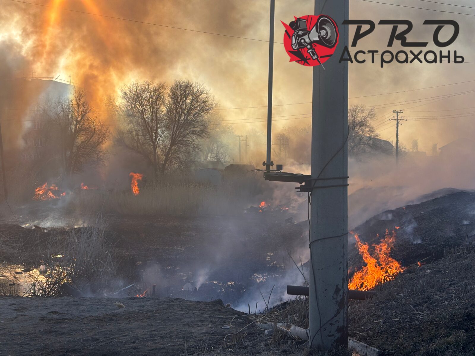 В Астраханской области объявили пожароопасный сезон: штрафы до 400 тысяч - PRO Астрахань