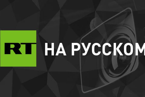 Силовики: ВСУ несут колоссальные потери при попытке пересечь реку Волчья