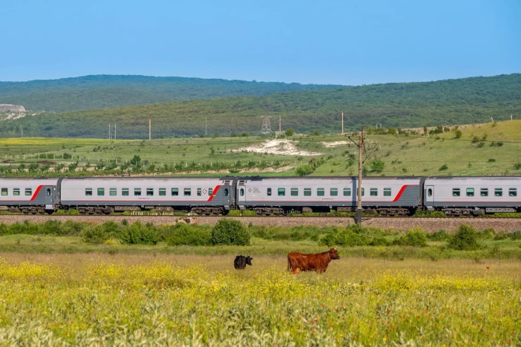 В поездах начнут продавать товары для животных