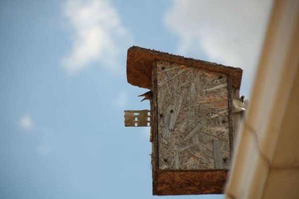 Заморозки и мощное тепло. Погода в Астраханской области на 23 марта