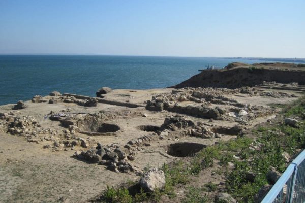 На Тамани под угрозой исчезновения находится кладбище носорогов и слонов возрастом 1,4 млн лет