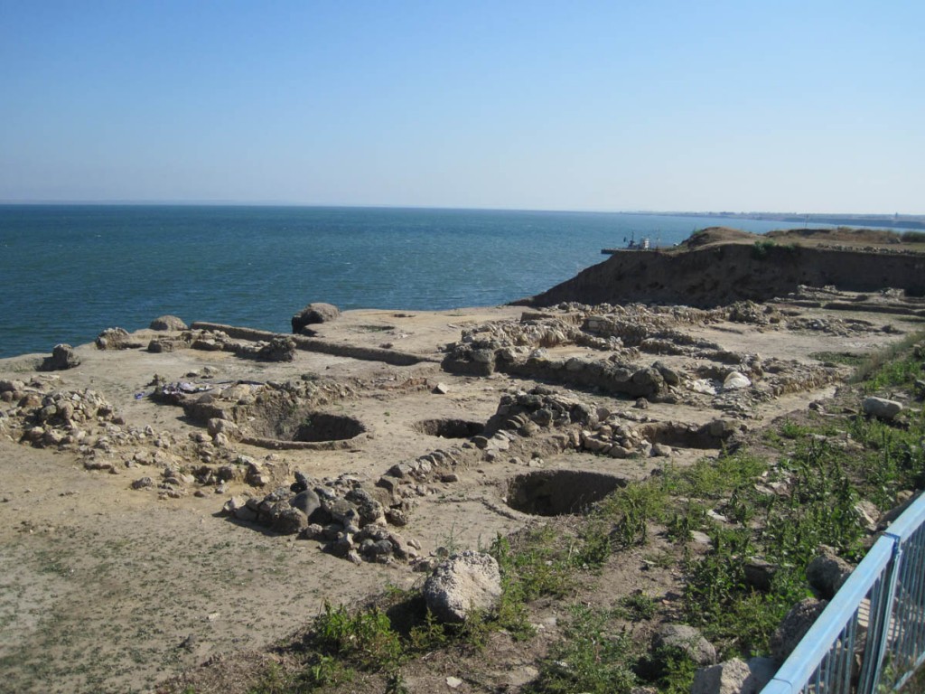 На Тамани под угрозой исчезновения находится кладбище носорогов и слонов возрастом 1,4 млн лет