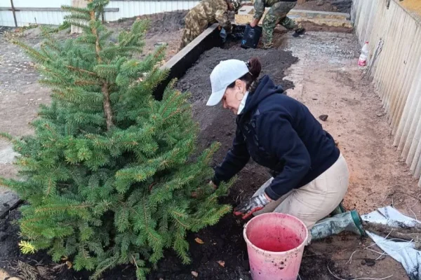 Как правильно обустроить красивый сад.