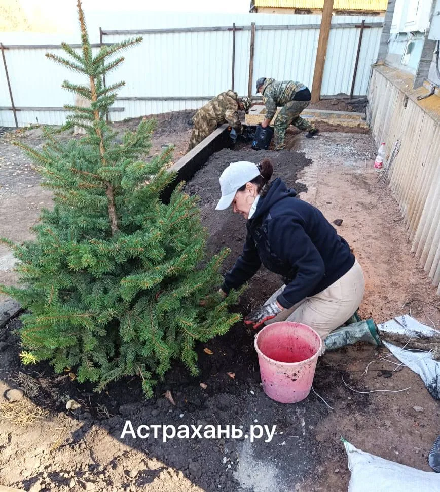 Как правильно обустроить красивый сад.