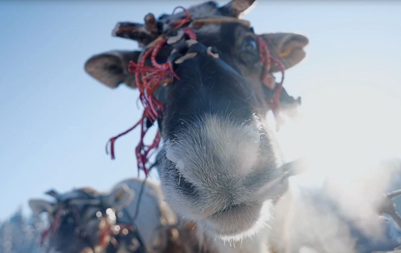 В ХМАО прошел масштабный конкурс оленеводов