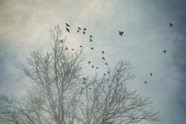 В Астрахань постепенно приходит тепло