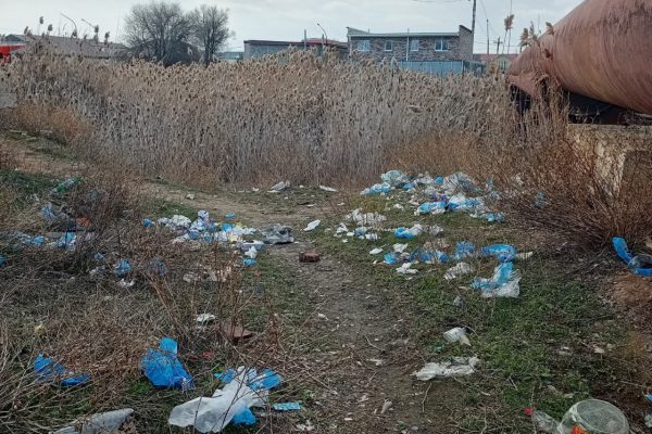 В Астрахани берег многострадального ерика оказался усыпан медицинскими изделиями | АРБУЗ