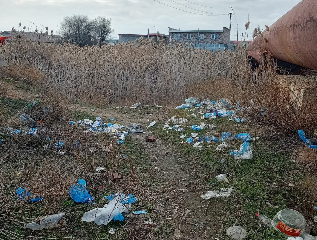 В Астрахани берег многострадального ерика оказался усыпан медицинскими изделиями | АРБУЗ